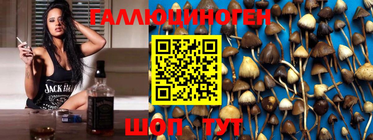 Галлюциногенные грибы мицелий  Вход с VPN  Усть-Джегута 