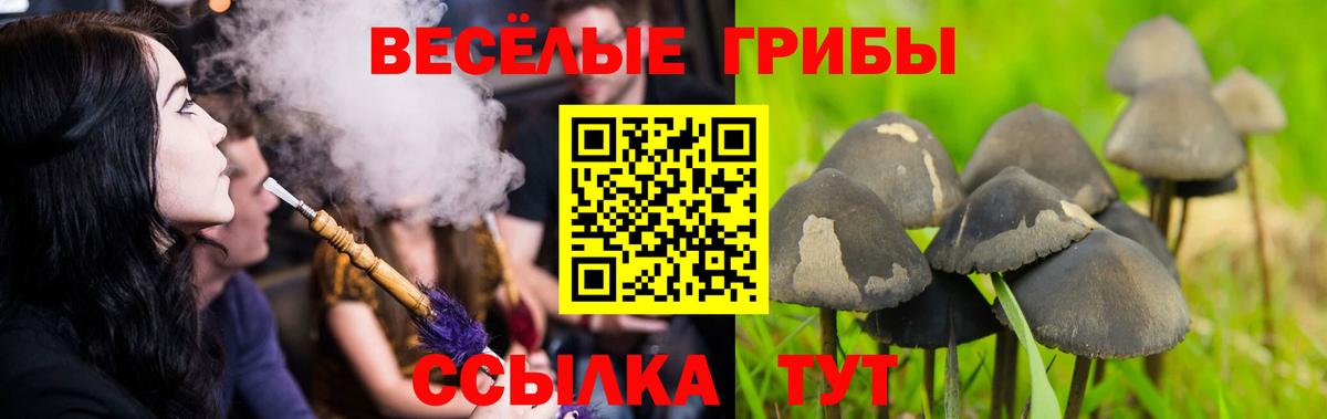 Псилоцибиновые грибы GOLDEN TEACHER Усть-Джегута